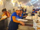 Hard working volunteers at St Demetrios Greek Fest in Elmhurst Hard working volunteers at St Demetrios Greek Fest in Elmhurst